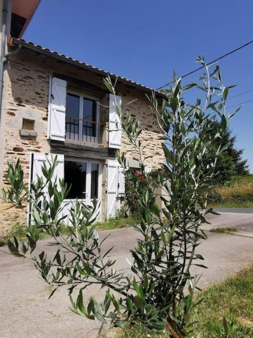 La Grange De Pierrot Villa Saint-Bazile Exterior foto